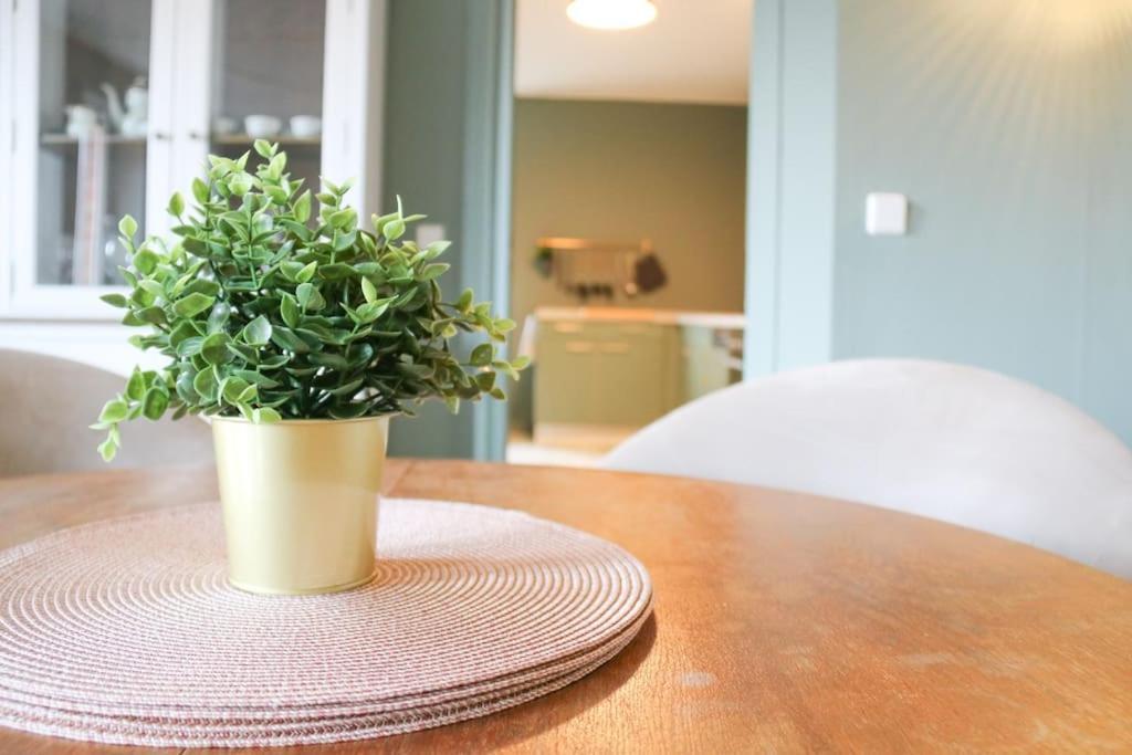 Apartment Hinterhaus